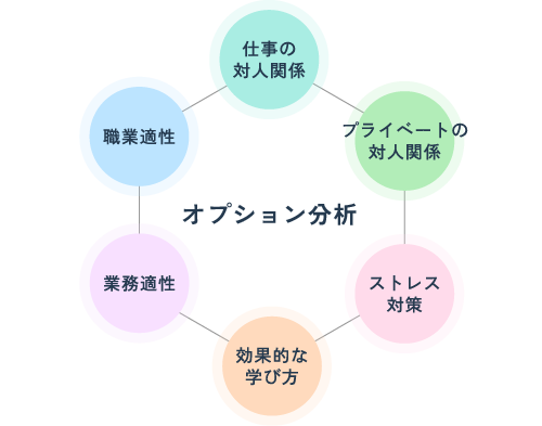 オプション分析（仕事の対人関係・プライベートの対人関係・ストレス対策・効果的な学び方・業務適性・職業適性）